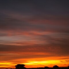 Fototapeta premium Colorful sunset over silhouetted trees