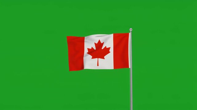 The patriotic canadian flag, featuring bright red and white colors, gently waves on a flagpole in isolated chroma key footage against a solid green screen.