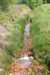 Ditch in Oppelhain, Lower Lusatia, Germany
