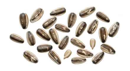 Macro view of scattered wheat grains isolated on a transparent background black background