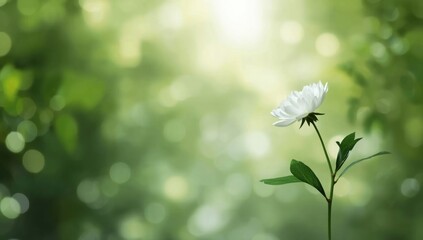 Artificial white flower with selective focus and blur, serving as a UI backdrop for interface elements