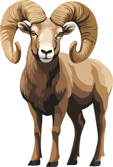 Bighorn Sheep Vector on Transparent Background
