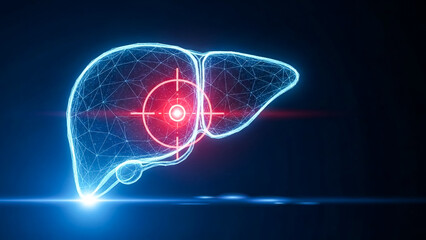 Digital representation of a human liver structure outlined in glowing blue wireframe mesh with a central red targeting reticle indicating a medical focus point on white background