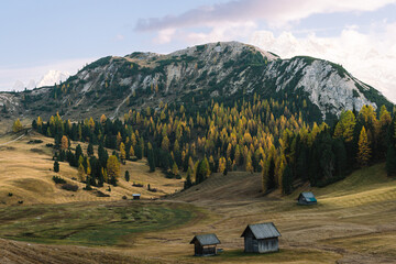 Mountain Plateau Landscape Scene - Prato Piazza Dolomites Italy - Autumn Fall Alpine rolling hills with forests and golden trees - castles, roads and mountains 