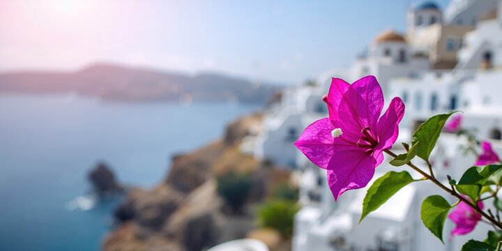 Bougainvillea flower with vibrant colors on a Greek island, serving as a scenic background for text or design, Earth Day