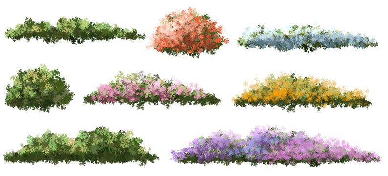 Vector of tree or blooming  side view isolated on white background ,watercolor tree elevation for landscape concept,environment scene,eco design,blossom garden for spring