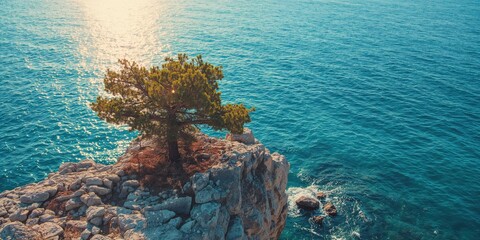 Single tree rooted on a rugged rock formation with sea in the background, highlighting coastal landscape stability