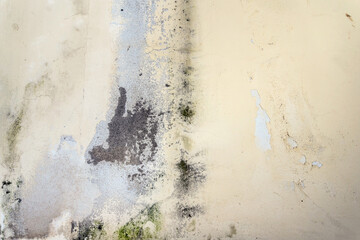 Mold and humidity on the wall
