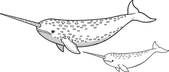Narwhal whale vector illustration, arctic marine animal line art, mother and baby narwhals, isolated sea mammal graphic, exotic ocean wildlife design, conservation, © Creative Mind
