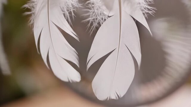 Delicate white feathers flutter softly, swaying gently in a light breeze. Their elegance adds a tranquil touch to the peaceful surroundings, inviting relaxation and contemplation.