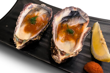 Oyster lovers , Fresh Seafood over white background