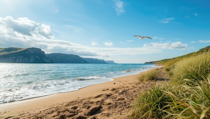 Sunlit beach with cliffs and seagrass, illustrating erosion and shoreline stability