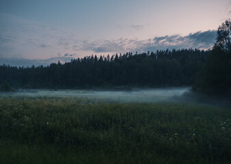 Fototapeta premium Fog drifts across a grassy meadow at daybreak.
