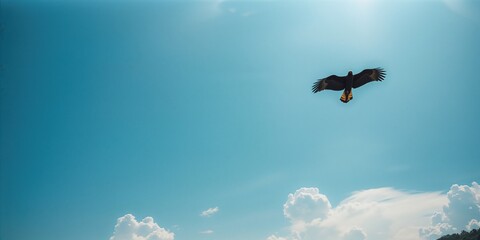Large bird in flight over a summer sky with sun and clouds, highlighting avian migration
