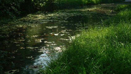 Fototapeta premium Vegetation along the pond's edge, shoreline stability and erosion concerns, Earth Day
