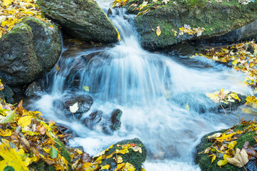 Small waterfall cascades over moss covered rocks in a vibrant autumn forest