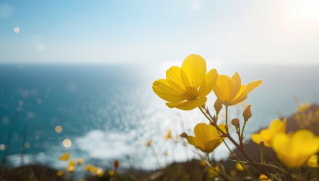 Vivid yellow blossoms against the sea, ideal for editorial header backgrounds
