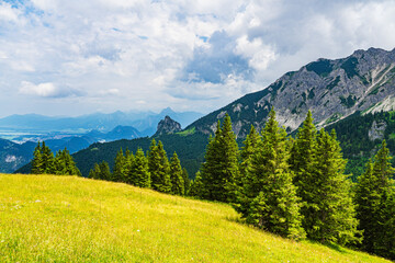 Blick vom Breitenberg bei Pfronten in die Alpen