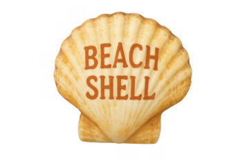 Beach shell concept text summer vacation season