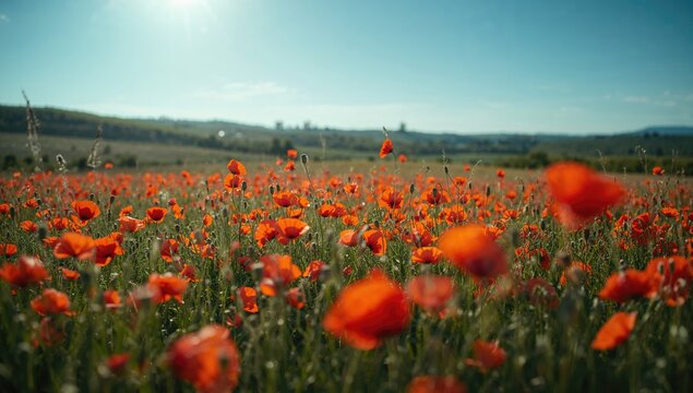 Scenic view of red poppy flowers blooming in a lush green landscape, ideal for seasonal design backgrounds - Powered by Adobe