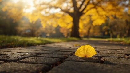 Ginkgo leaf changing color to yellow, autumn foliage, Earth Day