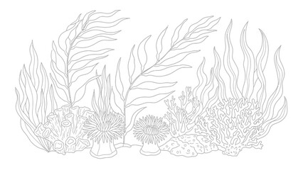 Obraz premium Undersea Landscape Outline: Coral Reef, Seaweed, and Anemones