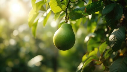 Close-up of green fruit on a wooden surface, highlighting fresh ingredients for nutritious meals, Earth Day