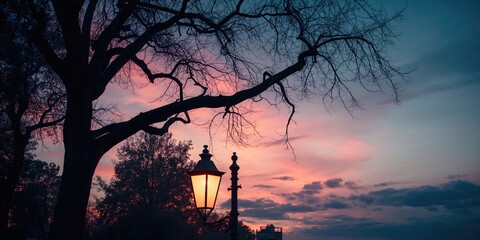 Tree and street lamp silhouette at dusk, ideal for background design and layout use