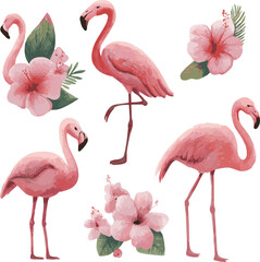 Obraz premium Generated Flamingo pink drawing clipart set. Summer bird flamingo clip art collection cute tropical elements vector illustration
