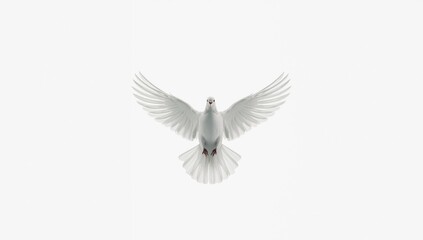 Fototapeta premium Flying white dove captured mid-air on a plain white background, symbolizing serenity and hope