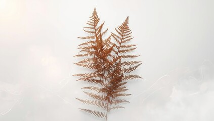 White background featuring brown fern leaves emphasizing natural foliage for ecological or seasonal themes
