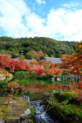 秋の庭園：色とりどりの反映