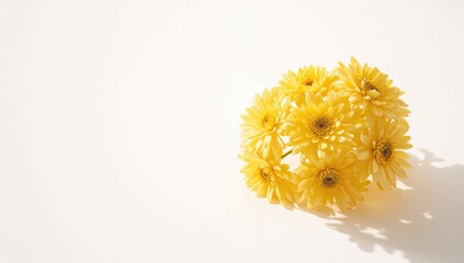 Bright yellow blooms arranged on a white surface, designed for decorative use and gift presentations