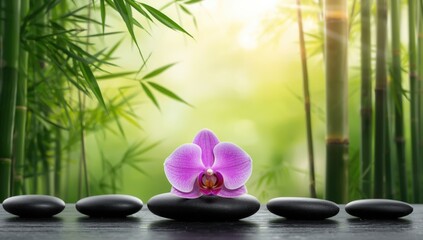 Pink orchid alongside bamboo and black stones, ideal for floral display backgrounds, World Orchid Day