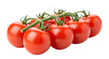 Ripe Red Cherry Tomatoes on a Vine whisk graphic