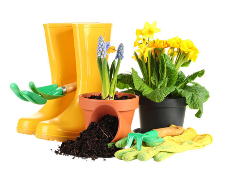 
Aku ingin kamu membuat Tabel, dengan format 6 kol...
Aku ingin kamu membuat Tabel, dengan format 6 kol...
100%
10
C14

Spring gardening composition with yellow rubber boots and flowers isolated on wh