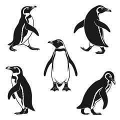 Obraz premium Black and white penguin silhouettes