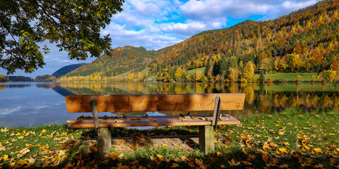 autumn landscape with a wooden bench