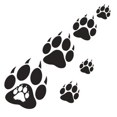 Fototapeta premium Animal paw prints