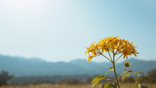 Mexican sunflower weed against a clear blue sky, highlighting plant resilience and natural environment