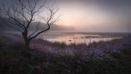 Morning fog envelops a wetland landscape with shrubs during sunrise, highlighting natural erosion risk