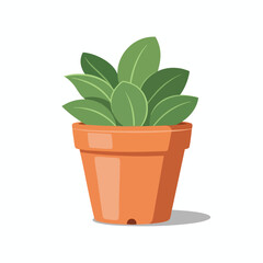 Fototapeta premium A potted plant with lush, green leaves sits in an orange, ceramic pot
