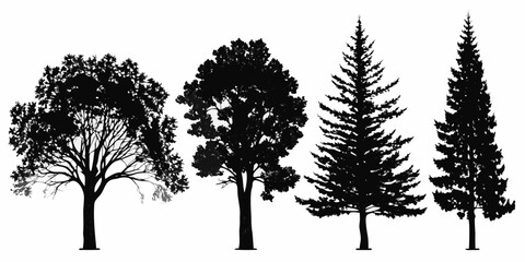 Silhouette collection of diverse trees oak pine and evergreen varieties © Ripan