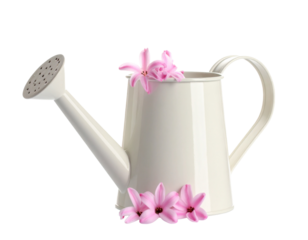 White decorative watering can with pink flowers isolated on white