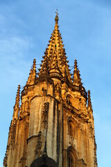 Fototapeta premium Catedral de Oviedo