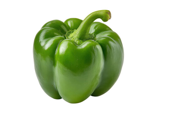 Single Green Bell Pepper Isolated on Black Background Studio Shot capsicum vegetable, Png, Isolated on Transparent Background, Cut Out