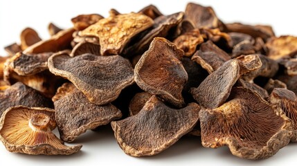 Fototapeta premium Fresh porcini mushrooms on a white background