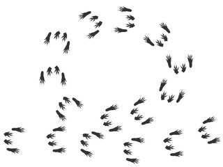 Footprints of Animal, Traces of a Squirrel on white background. Squirrel silhouette animal circle tracks. Paw Print. Vector illustration. EPS10.