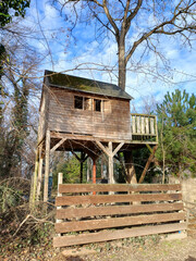 Wooden treehouse hidden among trees