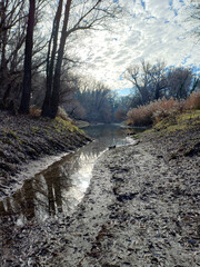 Winter creek mud reflection light